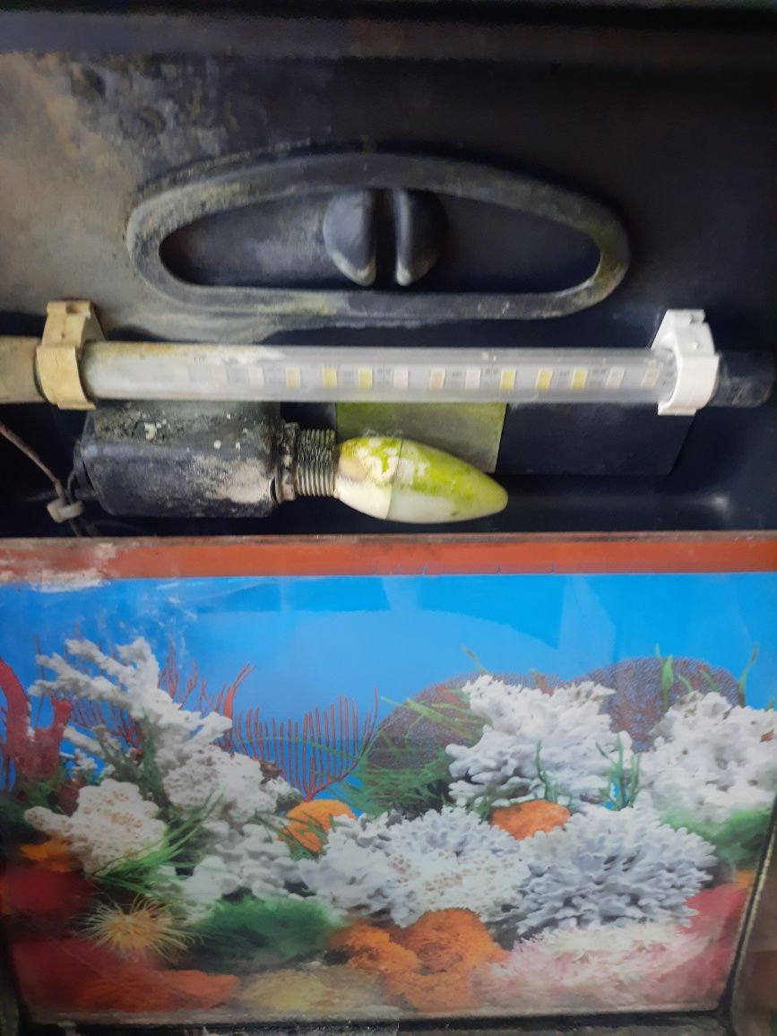 Akwarium proste 30l.