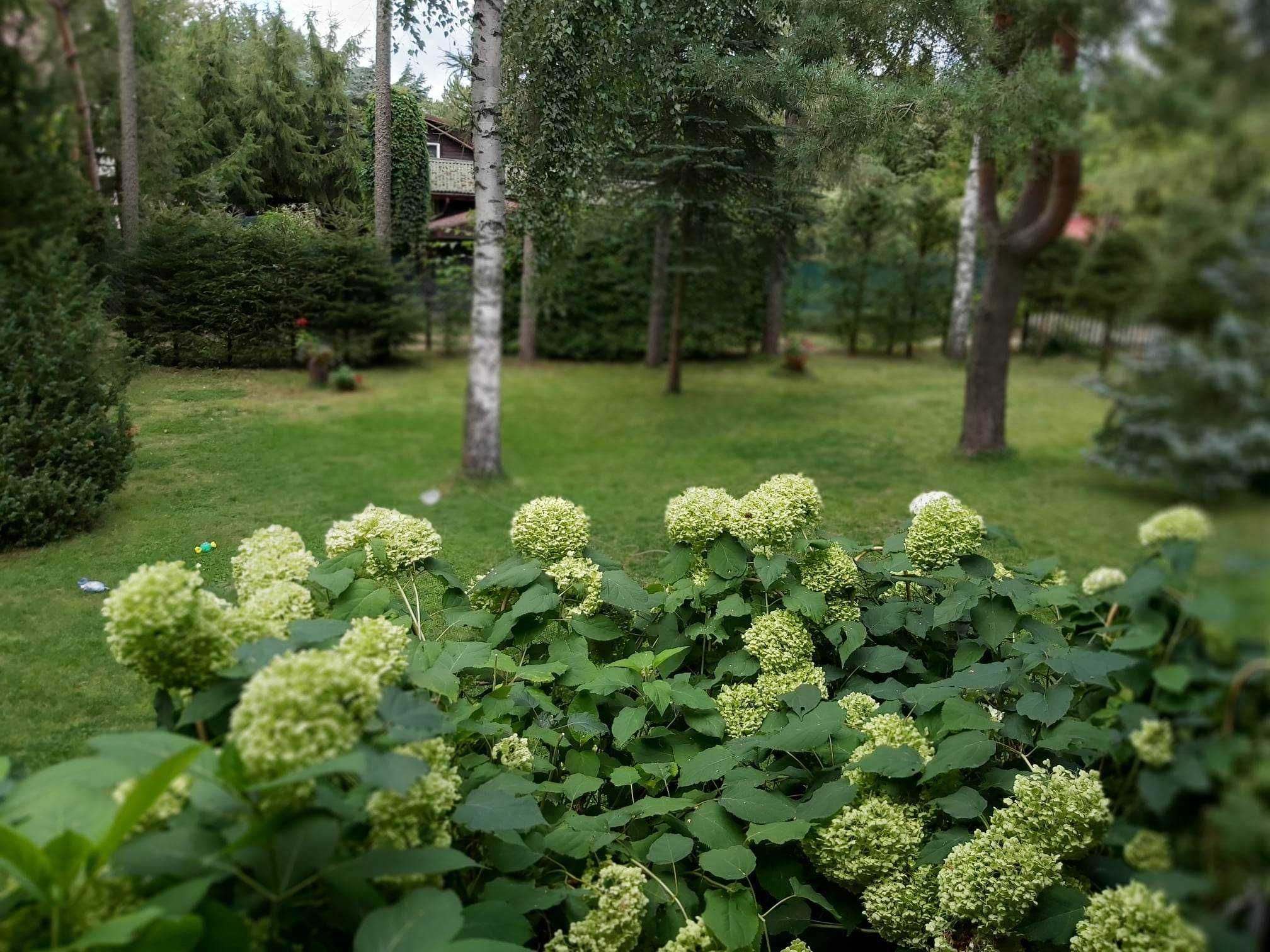 Domek na Mazurach jezioro Świętajno Narty koło Szczytna