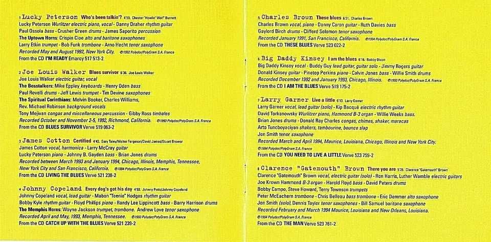 We Are The Blues - Various Artists - CD