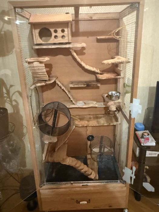 Клітка вітрина для дегу