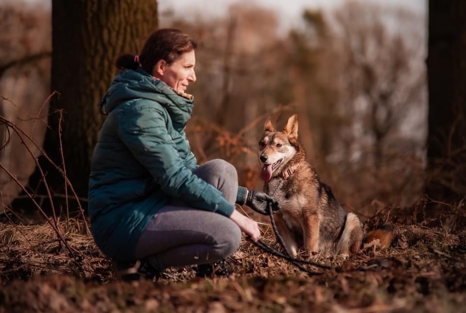 Vienka - potrzebuje domu i miłości człowieka