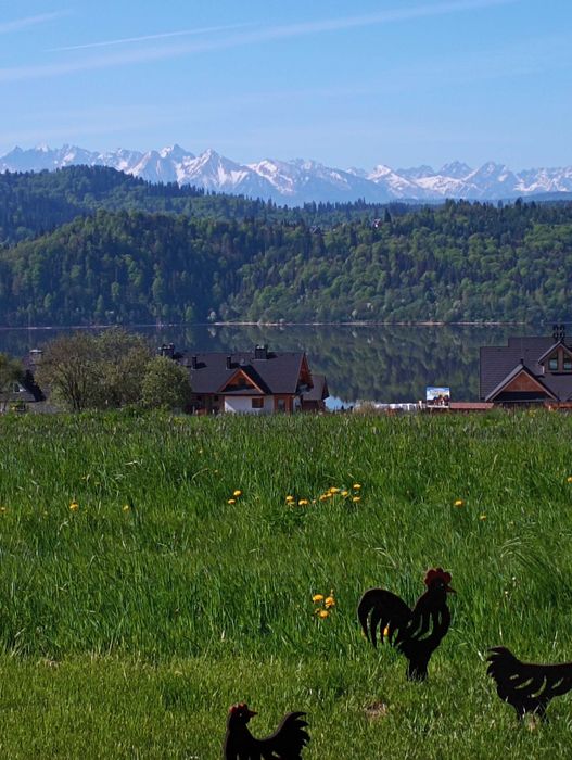 Domek "Na Wierchu"
