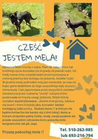 Cześć jestem Mela !!