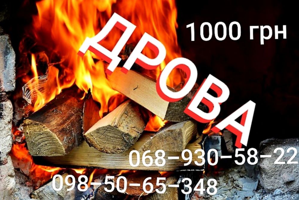 Дрова твёрдых и мягких пород от лесхоза по цене от 1000 грн