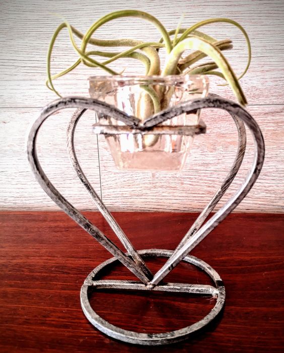 Natureza dentro de casa