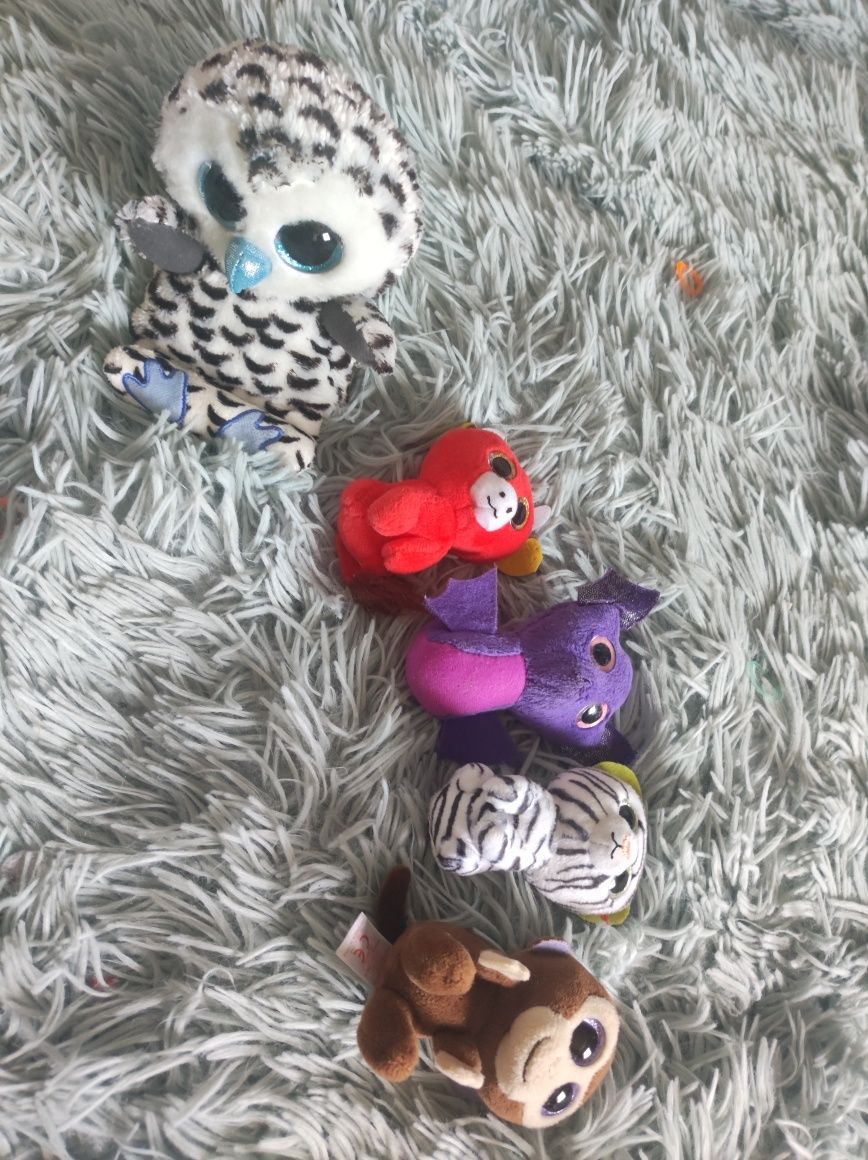 Beanie boos duży zestaw