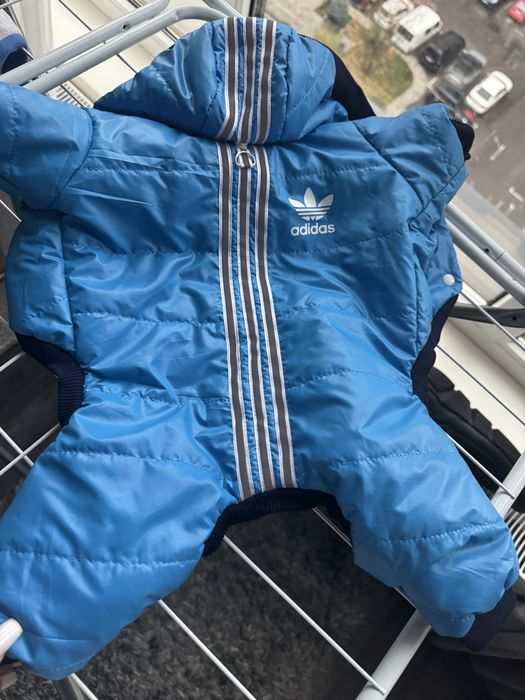 Речі для собак Puppy angel одяг для маленьких порід  20см спинка 25-30