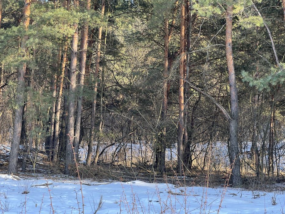 Земля 6гек Пуховка начало Лес свет газ асфальт интернет