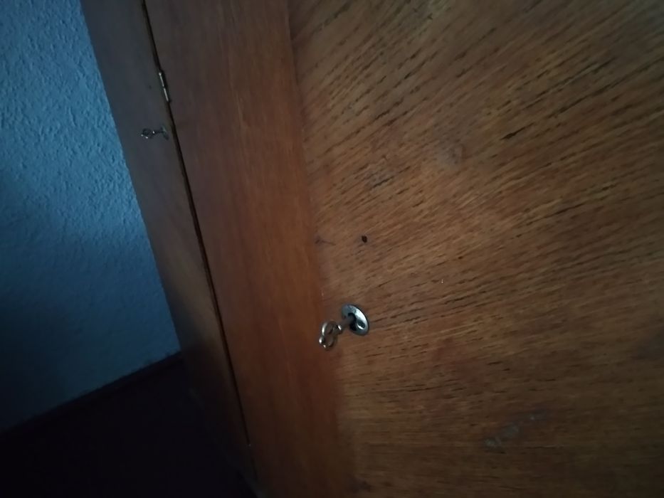 Шафа тридверна САМОВИВІЗ