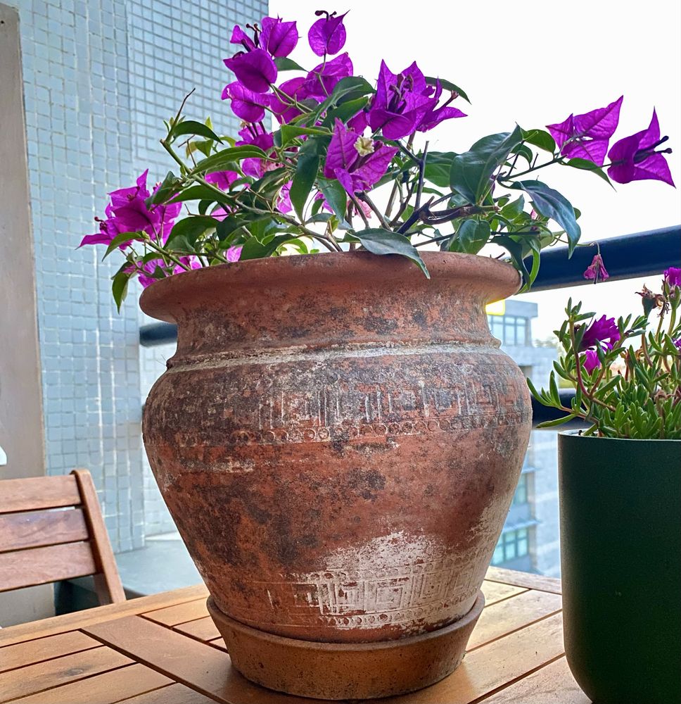 Vaso antigo em terracota