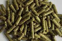 Karma pokarm dla gryzoni chomik królik kosztniczka 1 kg granulat eko