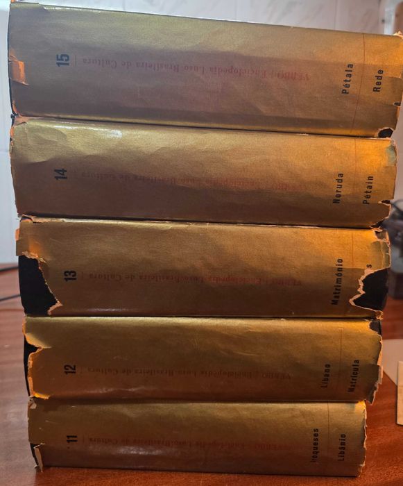 Enciclopédia Verbo - Luso Braseileira de Cultura - 20 volumes Ref: GAR