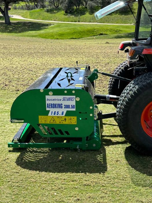 Areator do trawy Selvatici 300.50 (Wiedenmann, Imants)