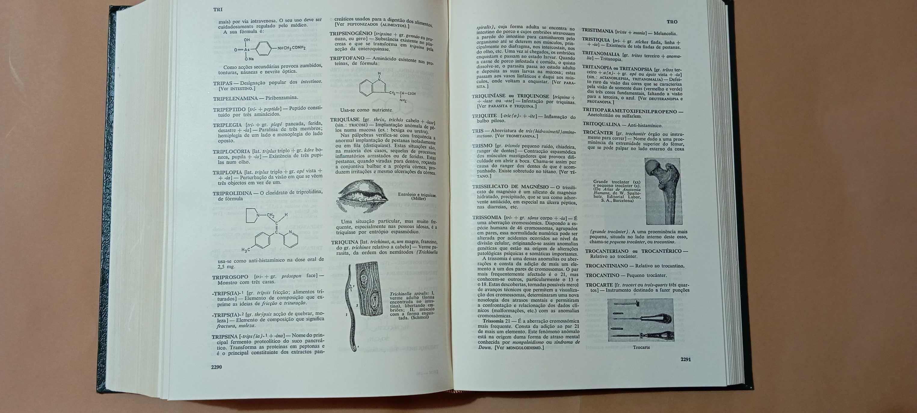 Dicionario Enciclopédico de Medicina