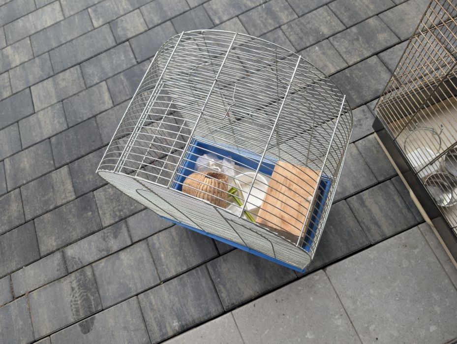 Klatka dla ptakow papuga ,kanarki .