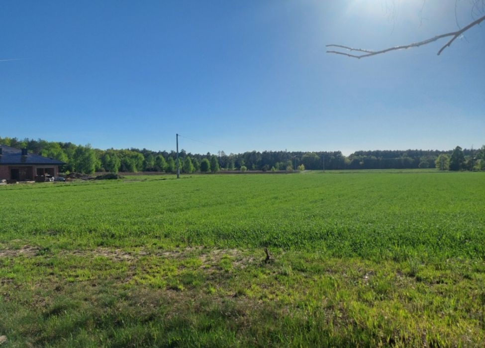 Działka budowlana z WZ