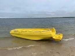 BARCO WHALY 455 R COM MOTOR DE 40 CV