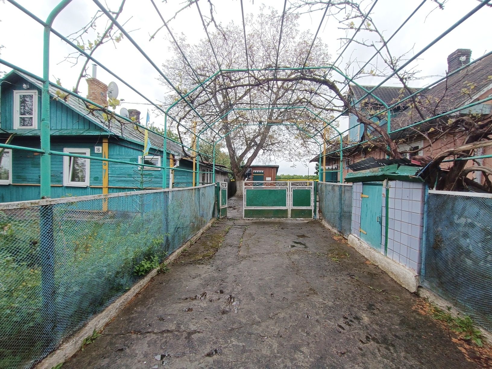 Мрія біля міста: дерев’яний будинок + надвірні будівлі!
