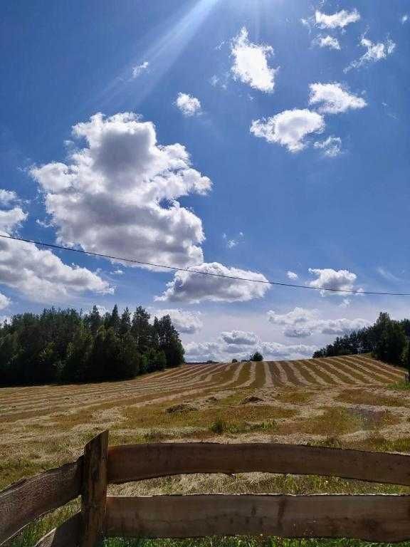 Domek do wynajęcia