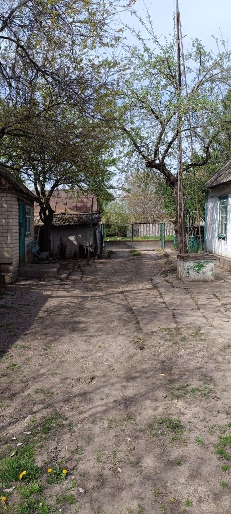 Продам будинок в смт Новомиколаївка