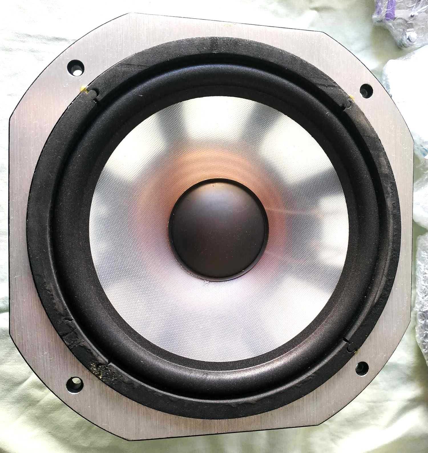 Woofer 10 polegadas PaiYang 25WG50MUM-40 180W