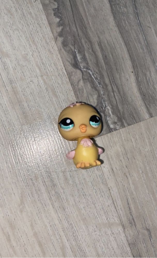 Littlest pet shop