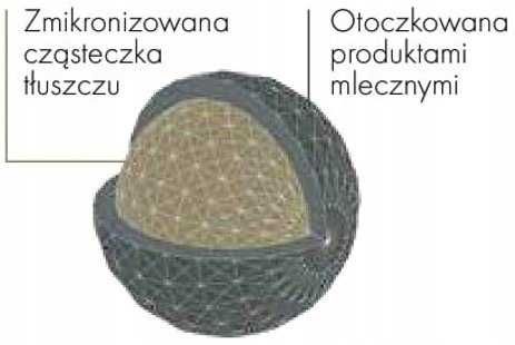 Spryfo MLEKOPAN - mleko dla cieląt z siemieniem. Super jakość i cena!