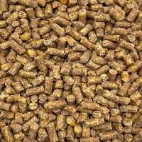 5kg Pellet ciastko - kukurydza zanętowy 4mm zanęta na karpia leszcza