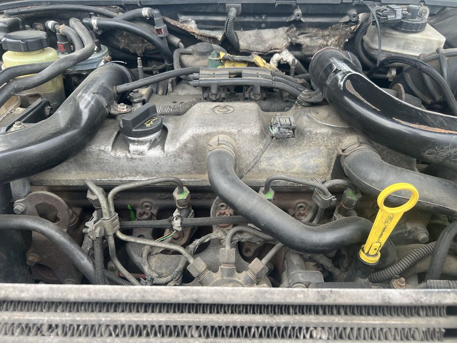 Silnik ford focus MK1 1.8 TDCI