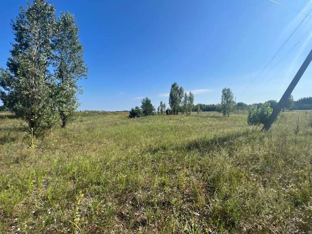 Продаж ділянки 11,6сот під садівництво. Асфальтований під'їзд. ID:461