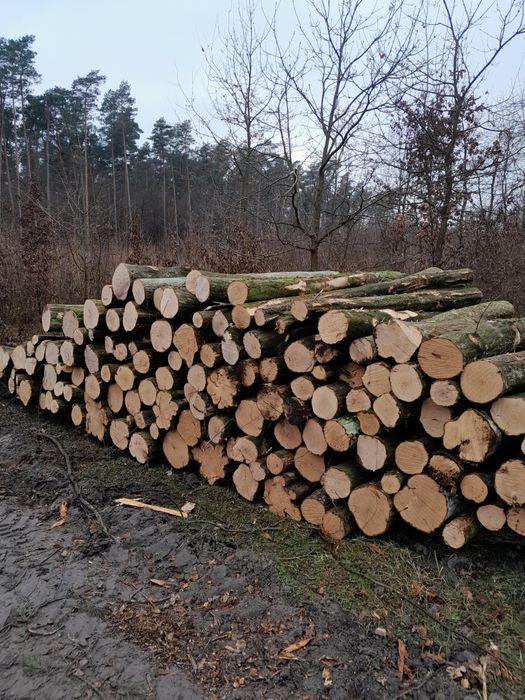 Drewno opałowe kominkowe dąb brzoza sosna