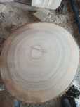 PLASTER  unikat 100cm ładne słoje Jesion stolik kawowy plaster