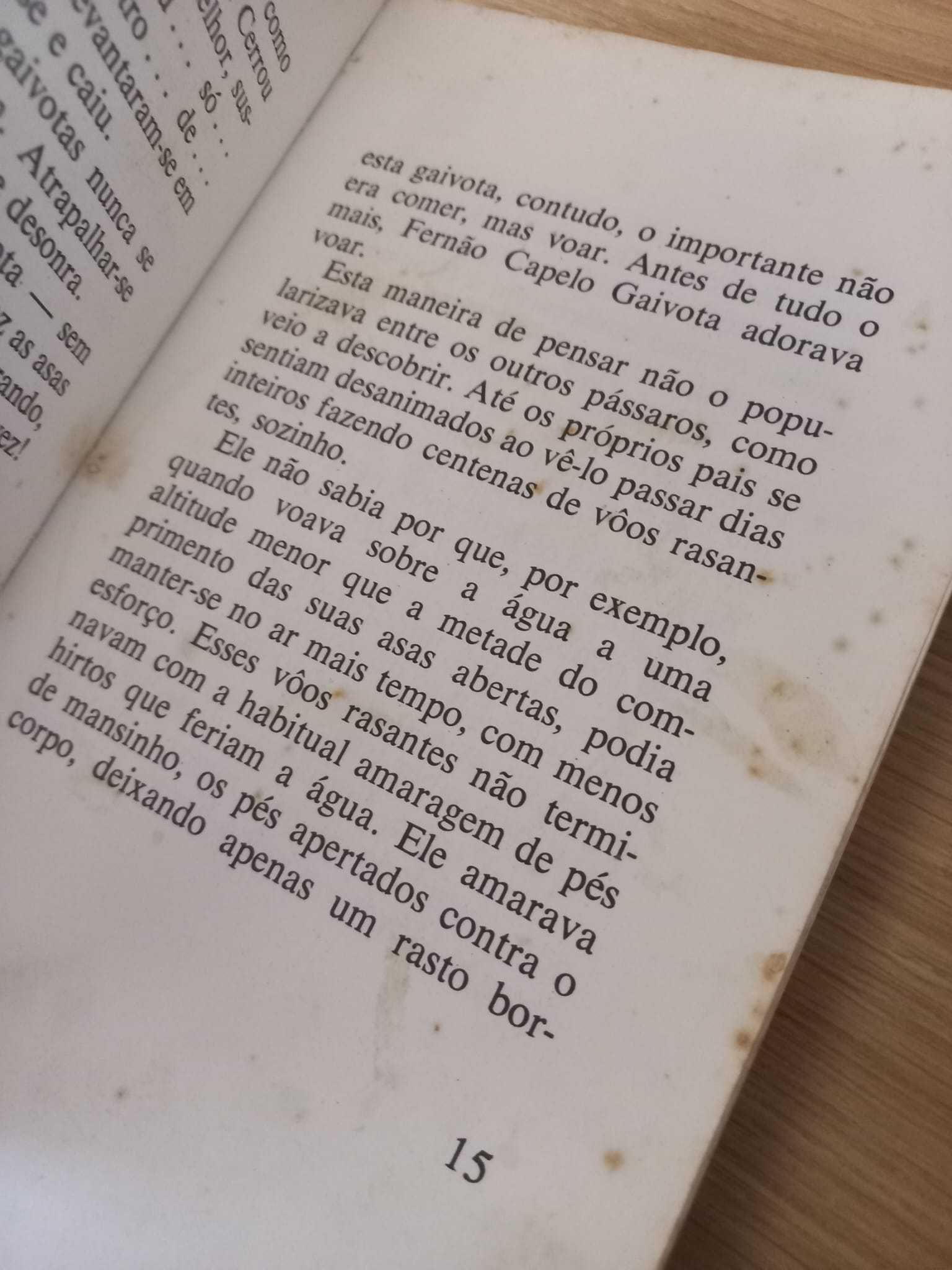 A história de Fernão Capelo Gaivota de Richard Bach