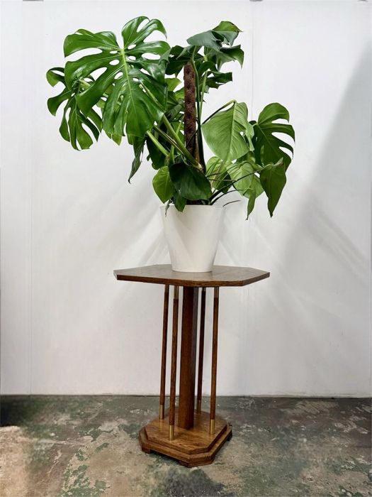 Kwietnik stolik dębowy.