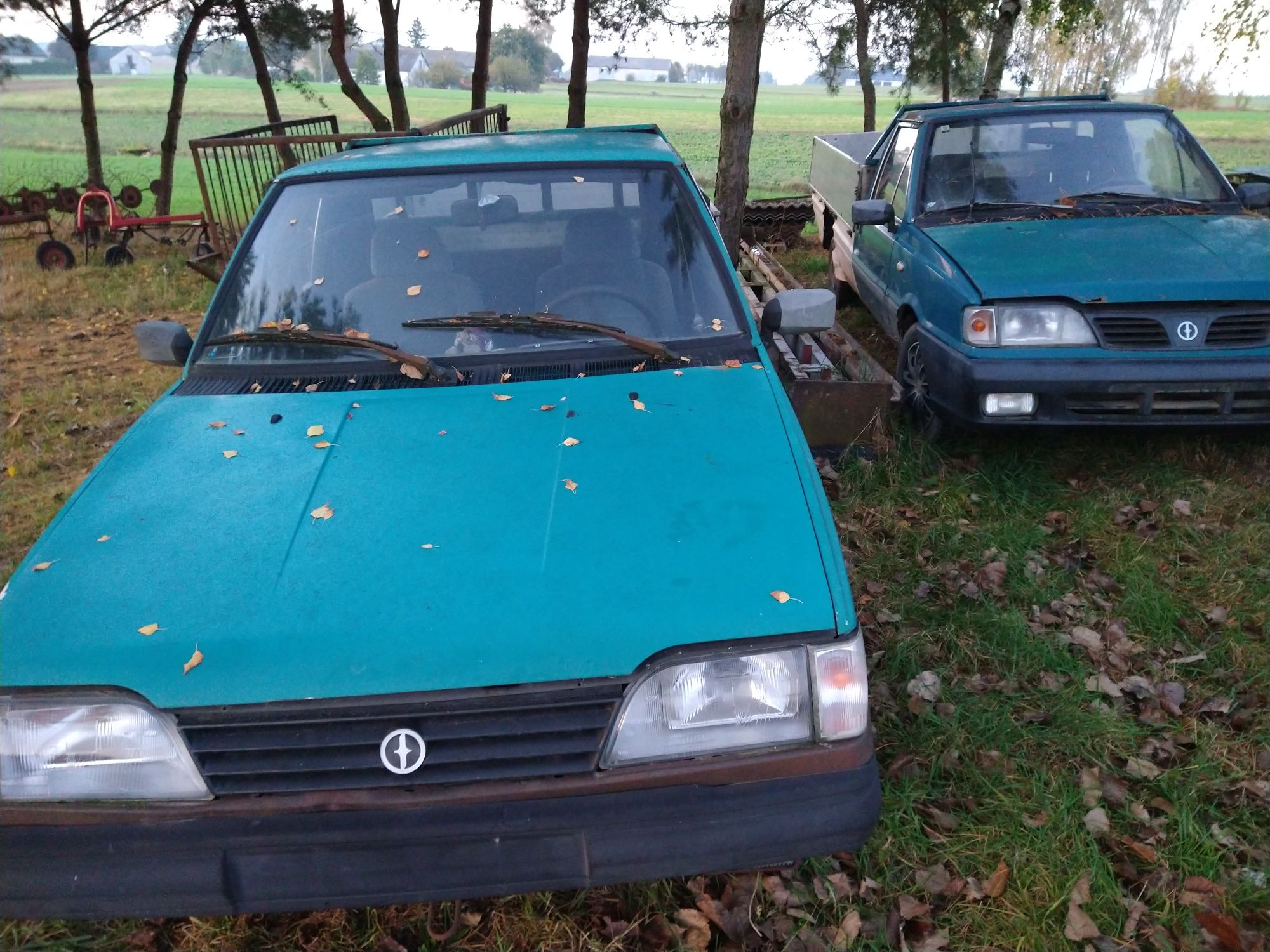 Polonez Truck Caro 1.9D 1.5B części