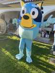 Aluga-se mascote Bluey - NOVA