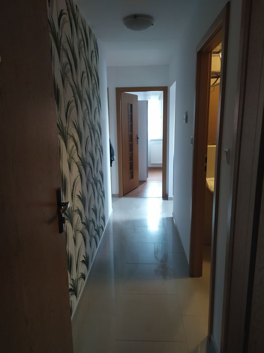 Wynajem mieszkanie 3 pokoje