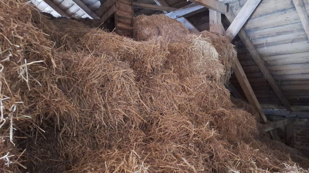 Oddam siano i słomę tylko całość