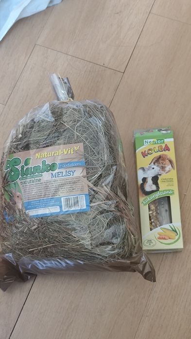 sianko z kolbą kukurydzianą dla królika