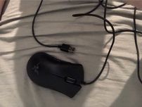 Myszka razer.