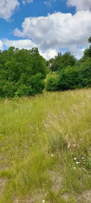 Ділянка 25 соток під будівництво+цегляний будинок