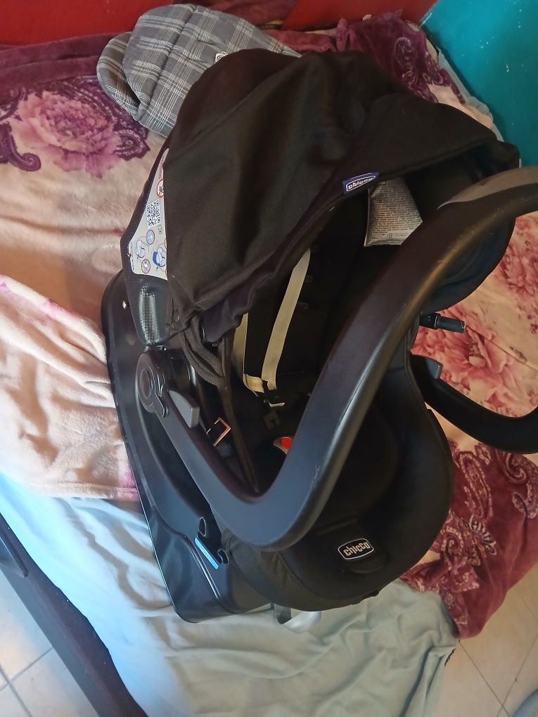 Ovo com suporte para carro