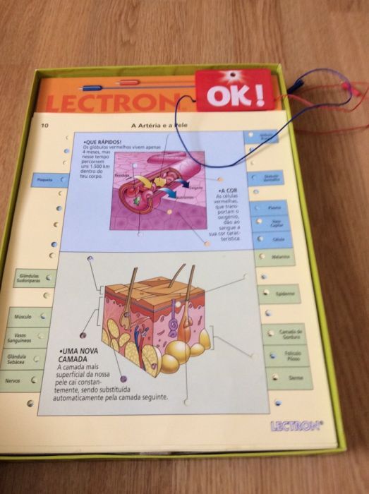 Jogo Letron corpo humano