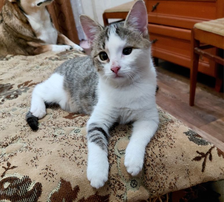 Хлопчик шукає родину!