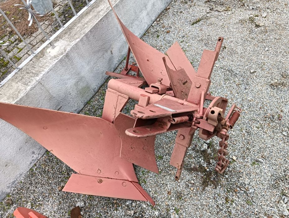 Charrua Ribatejo pequena