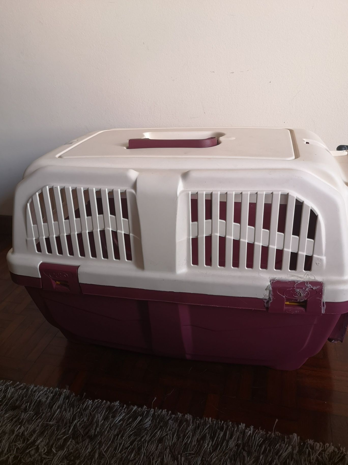 Transportadora animal