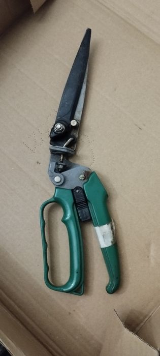 Tesoura de jardim e relva