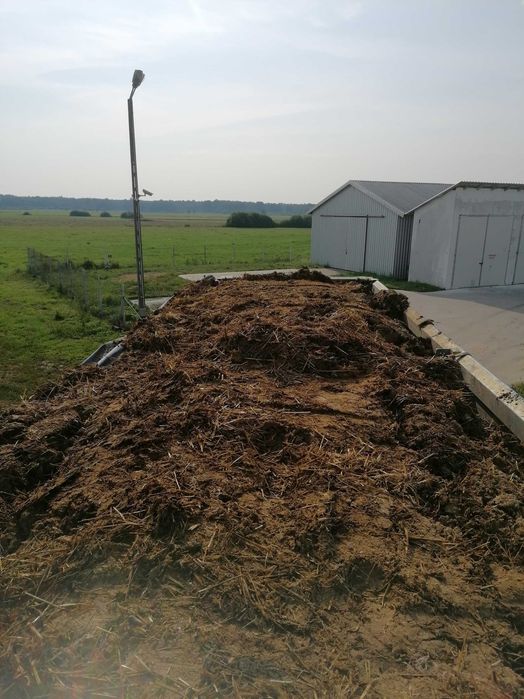 Sprzedam obornik bydlecy, kurzak, koński, oraz od trzody chlewnej