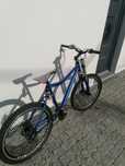 Bicicleta de montanha