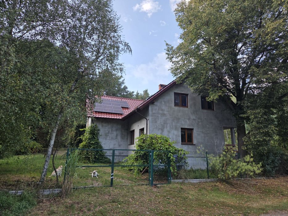 Wynajmę duży dom przy lesie